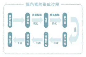Noblemate诺培美白芙丸：天然健康饮食开启美白新纪元