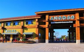会发光的植物园”再次登陆北京南宫 打造“小动物奇妙夜”