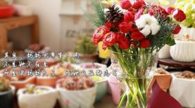 慕了！被哄被宠有惊喜，别人家妈妈这样过圣诞……
